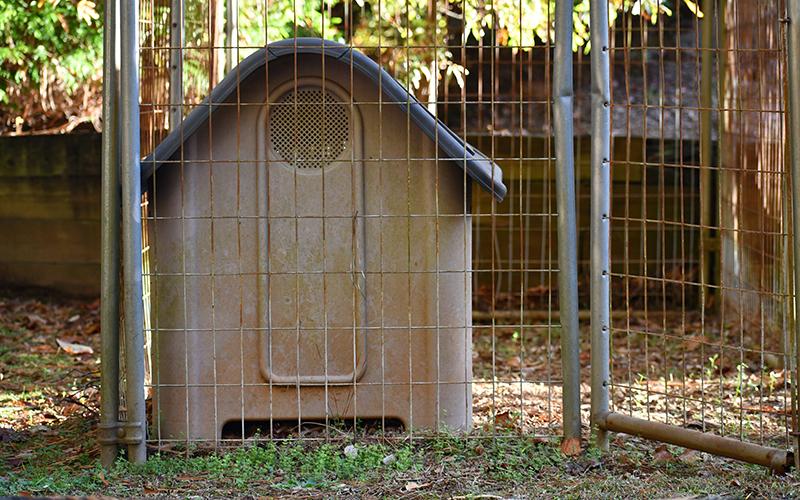 Circle of Hope has several doghouses on its shelter property to help facilitate pets accompanying their owners there. JULIANNE AKERS/Staff
