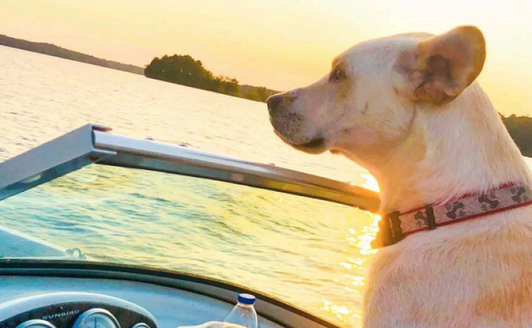 Ed Blackburn of the Reed Creek area of Hartwell, won the spring Lake Living cover contest for his photo of his canine friend Lincoln driving a boat.
