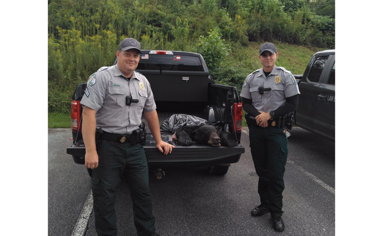 Cpl. Joe Hill and Game Warden Matt Kiracofe with a bear seized from a hunter who was charged with hunting big game over bait. WHITE COUNTY NEWS