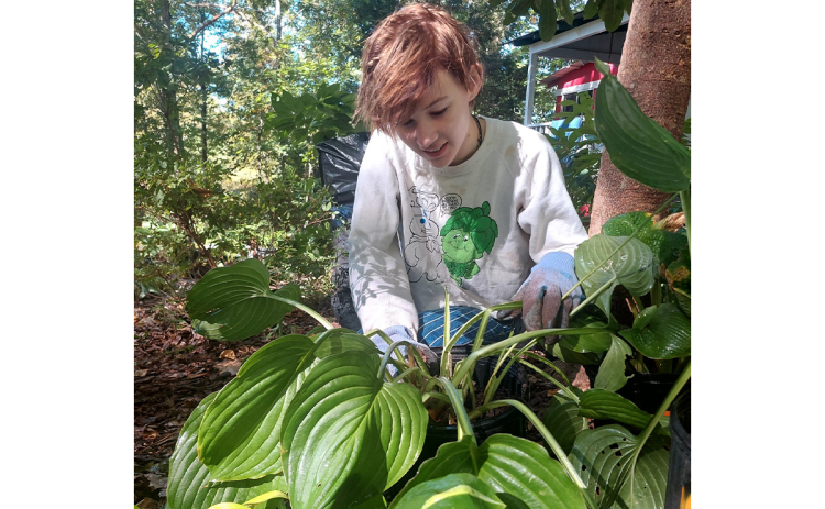 Autumn Samsel, 15, decided to give back to her community through her Leadership in Action program for 4-H, where she will be hosting a plant sale to benefit Sharing and Caring, a local thrift store in Clarkesville. SUBMITTED