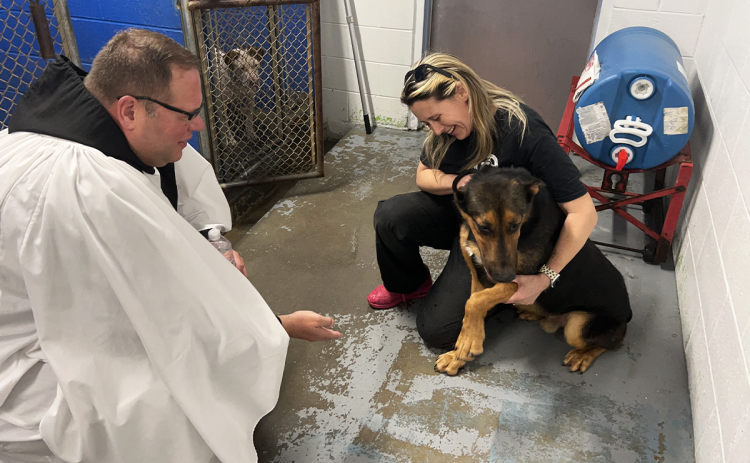 Father Damien Trudeau and Madi Nix spend time with Beans 2.0, who received an extra blessing in hopes of helping him find his “furever” home. AMARIS E. RODRIGUEZ/Staff