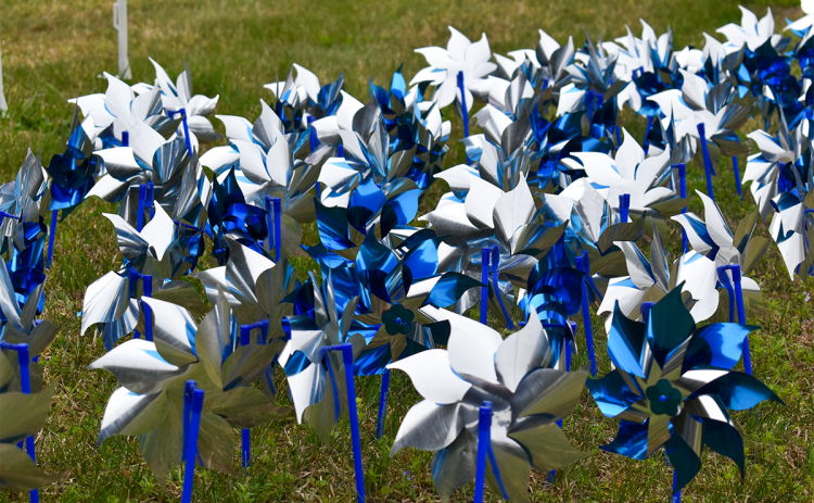 Various groups in Habersham County are showing their support for National Child Abuse Prevention Month by using blue pinwheels, the national symbol for child abuse prevention. Outside of the Habersham County Chamber of Commerce and the Wall of Honor, many pinwheels are planted. EMMA MARTI/Staff