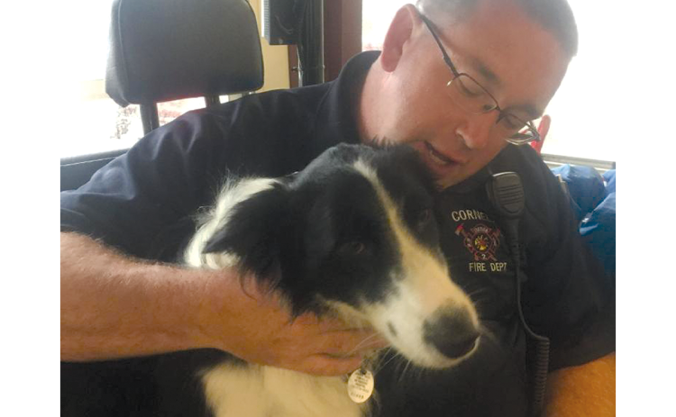 Habersham County Fire Marshal Josh Hazle spends quality time with Cornelia Fire Department’s K9 Cleo before her passing June 5. SUBMITTED