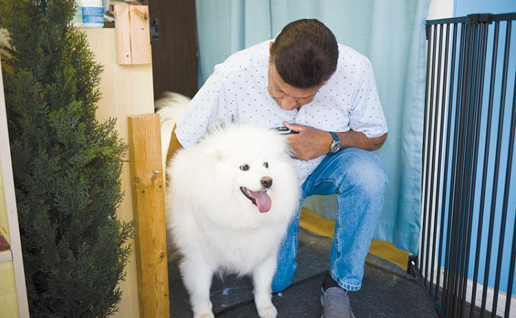 Tony Romano and his 4-year-old Samoyed Bella prepared to go for a walk during his lunch break. The two have been inseparable since meeting just before the pandemic hit. They were featured in an article in The Northeast Georgian on Jan. 3, 2020. ZACH TAYLOR/Special