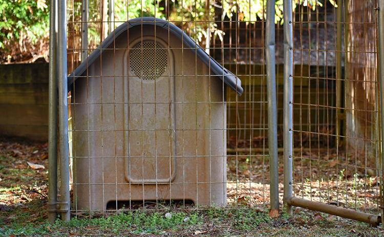 Circle of Hope has several doghouses on its shelter property to help facilitate pets accompanying their owners there. JULIANNE AKERS/Staff